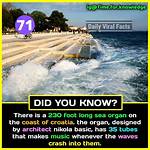 10 Facts You Should Know About New Yam