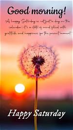 100+ Happy Saturday Quotes and Sayings About the Best Day of the Week