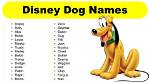 250+ Uncommon Disney Dog Names for Your Lovely Pet