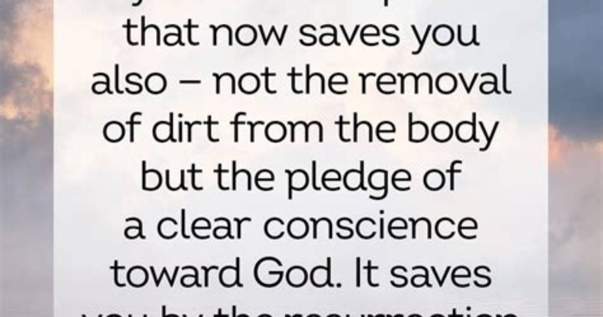 35 Baptism Quotes and Bible Verses for the Special Day