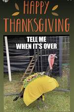 40+ Funny Thanksgiving Memes for You to Share