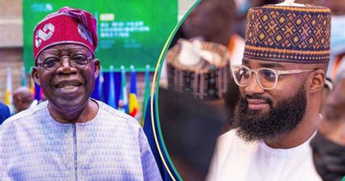 5 Things to Know About Khalil Suleiman Halilu, Tinubu’s 32-Year-Old New Appointee