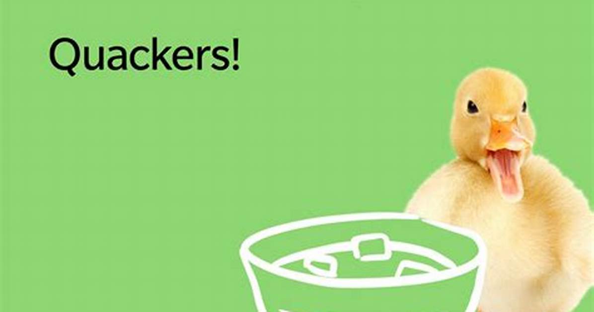 70+ Funny Duck Jokes, Puns and Sayings That Will Make You Keel Over