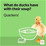 70+ Funny Duck Jokes, Puns and Sayings That Will Make You Keel Over