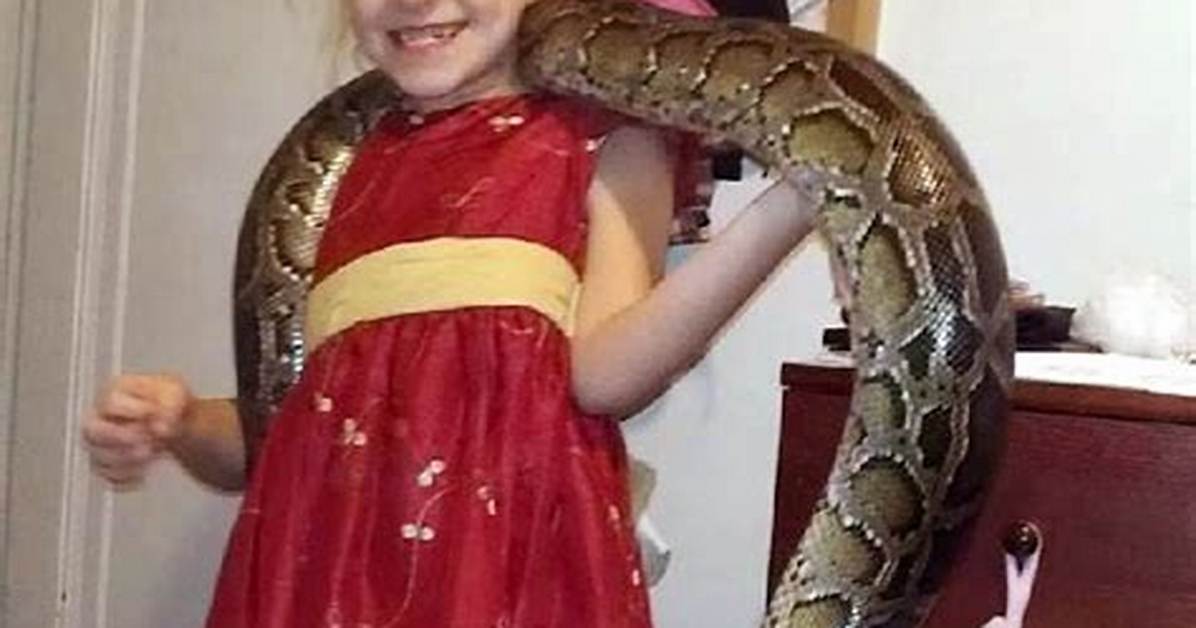 9-Yr-Old Girl Eats, Sleeps, Lives with Anaconda, Says She Is Crazy About Snakes