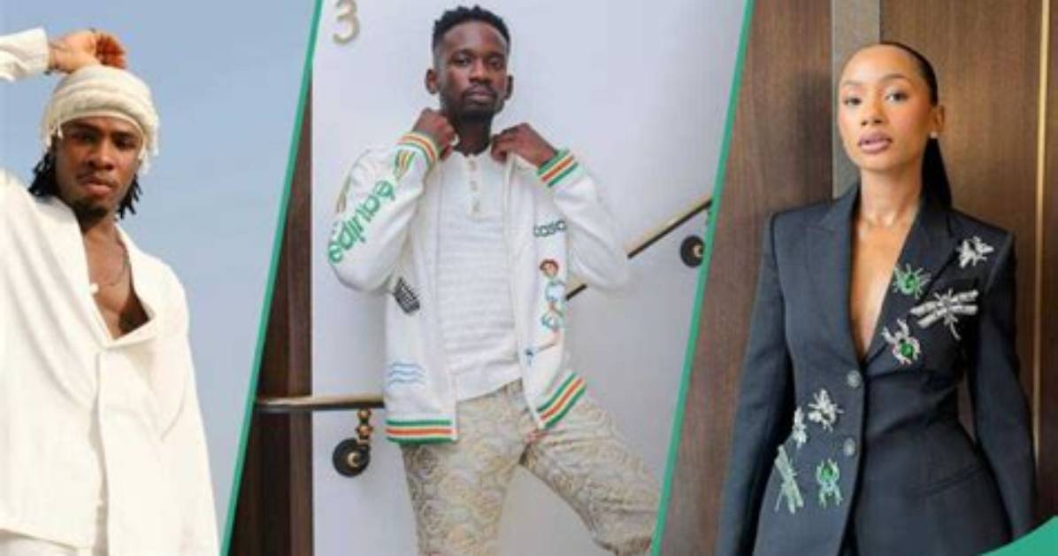 "99 Advisers, Only 1 Helper": Joeboy Reacts to Mr Eazi and Temi Otedola Unfollowing Him