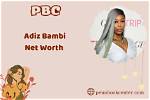 Adiz Bambi Net Worth 2024