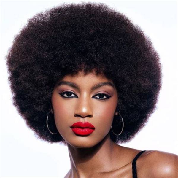 Afro Hair Styles for Ladies