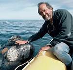 American Biologist Roger Payne Obituary and Death Cause