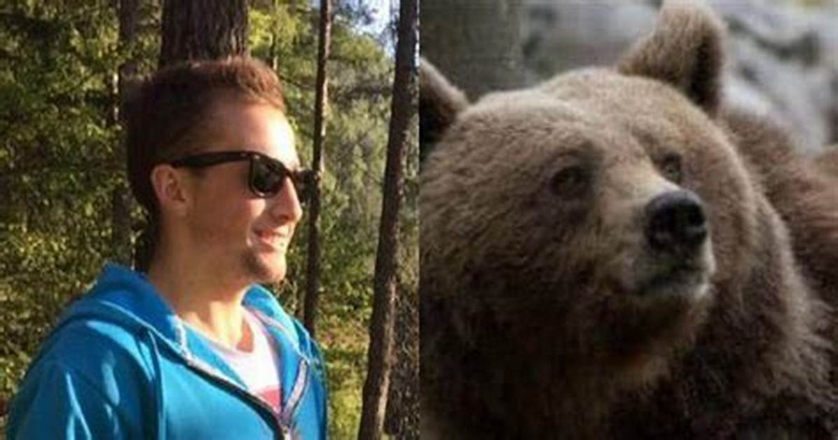 Andrea Papi Incidente: Runner Morto Bear Attack