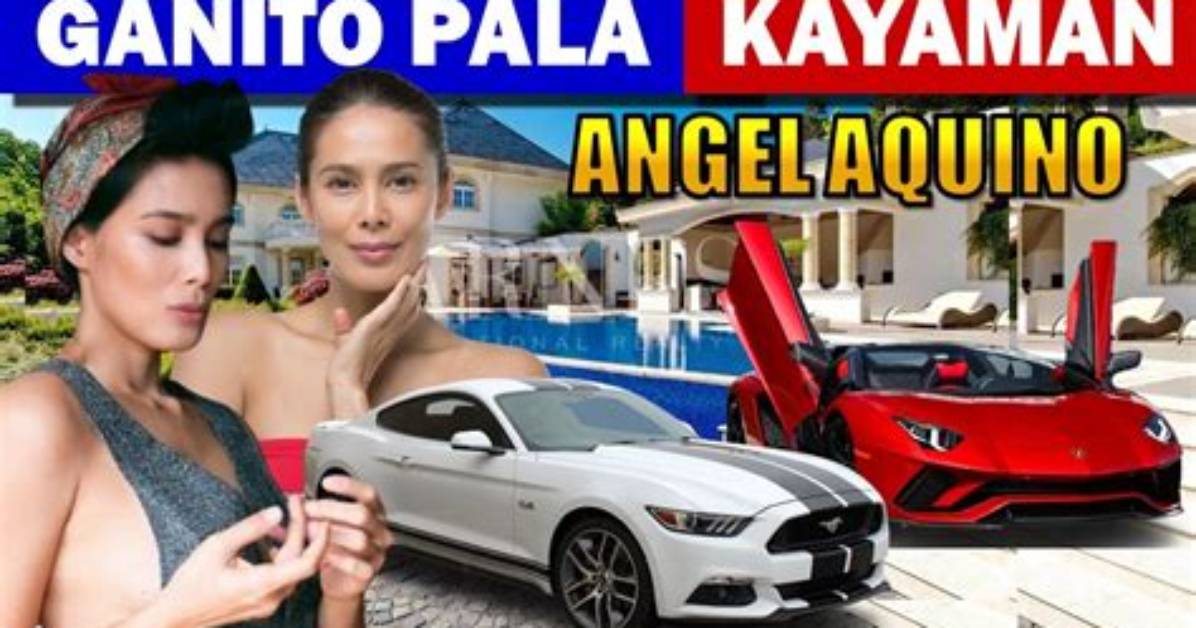 Angel Aquino Net Worth
