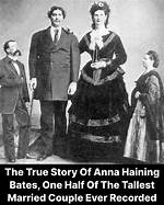 Anna Haining Bates Net Worth