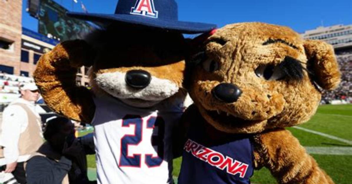 Arizona Wildcats | College Football Network