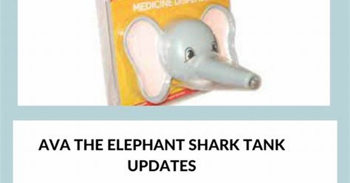 Ava the Elephant Shark Tank – Founder, Net Worth and Investment