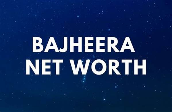 Bajheera Net Worth