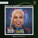 Bbnaija Diana’s Biography: Age, State of Origin, Socials