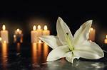 Becky Lindenberg Cause and Death: Family Mourns the Loss