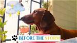 Before the Storm: Adorable Videos, Photos of Korra Obidi and Her Husband When the Going Was Good