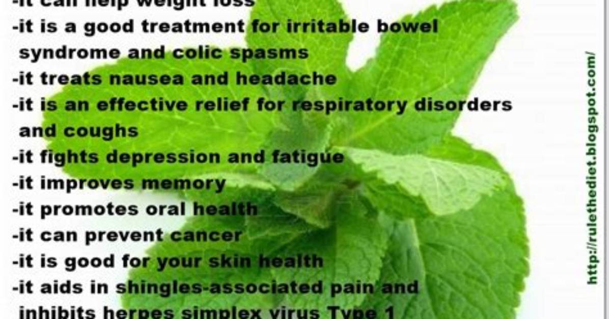 Benefits of Mint Leaves for Weight Loss