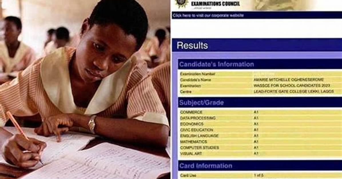 "Best Result So Far": Delta Girl Packs Straight A1S in Waec, Photo of Impressive Scores Trends on Facebook