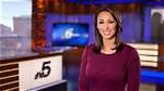 Bianca Castro Nbc 5, Bio, Age, Family, Husband, Salary, and Net Worth