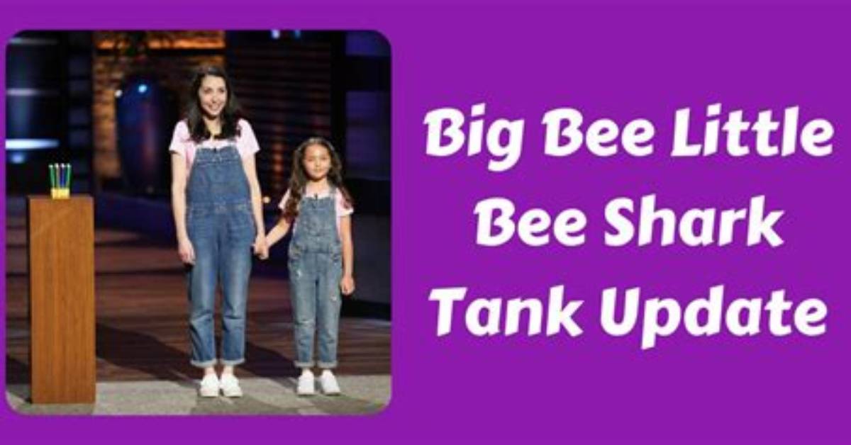 Big Bee, Little Bee Shark Tank – Founder, Net Worth, and Investment