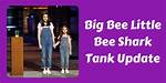 Big Bee, Little Bee Shark Tank – Founder, Net Worth, and Investment