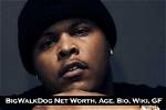 Bigwalkdog Net Worth - How Much Does Bigwalkdog Make?