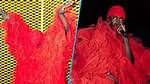 Black Sherif Slays in Red Tulle Dress to Concert in the Gambia, Outfit Causes Stir: "Flower Boy"