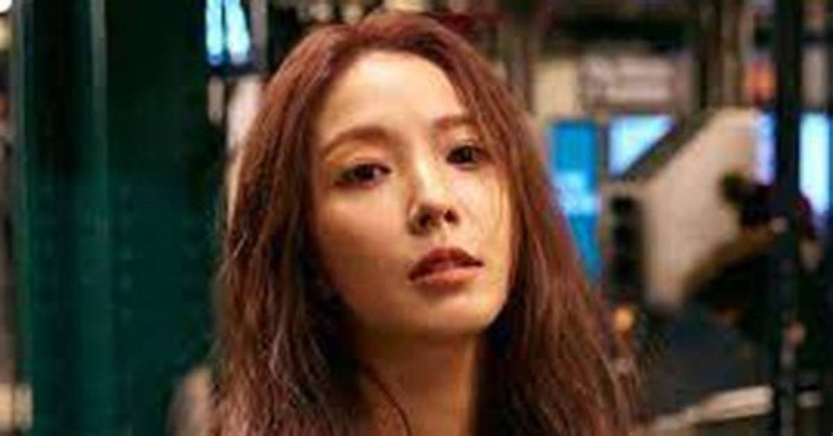 Boa Net Worth