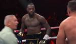Boxing Wilder Net Worth – How Much Is Wilder Worth?