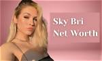Bri and Bam Net Worth