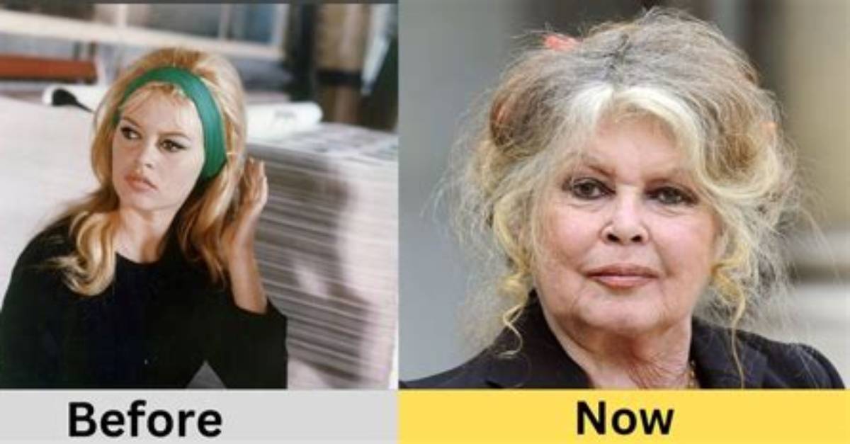 Brigitte Bardot Net Worth 2024