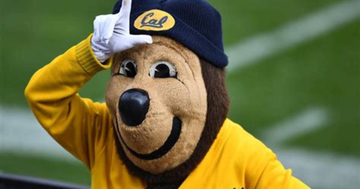 California Golden Bears | College Football Network