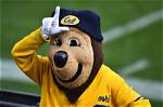California Golden Bears | College Football Network