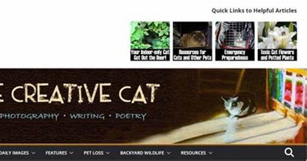 Cat Blogs – Top Cat Blogs and Websites