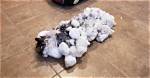 Cat Found Frozen Stiff in Snow Bank Makes an Incredible Recovery