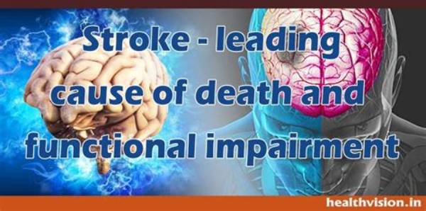 Cause of Death Stroke and Death Video