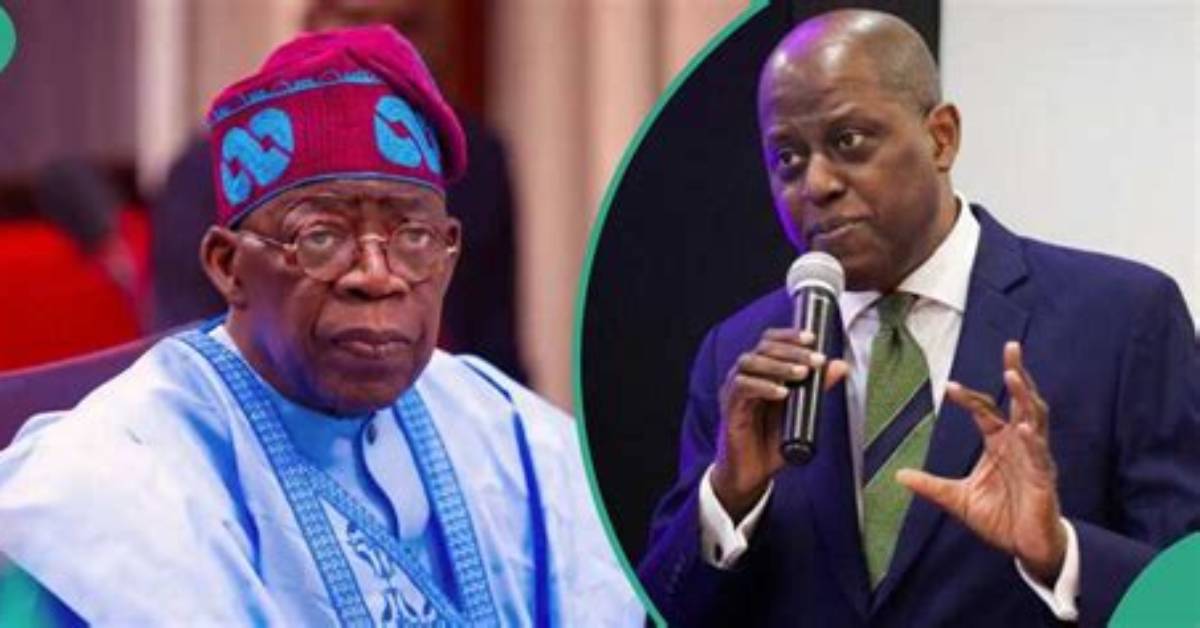 Cbn Probe: Analyst Shares How Tinubu, Cardoso’s Anti-Corruption Drive Is Yielding Results