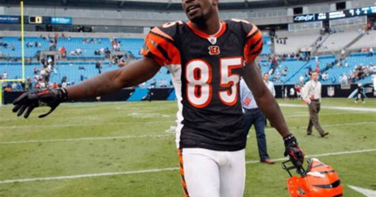 Chad Johnson Net Worth