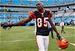 Chad Johnson Net Worth