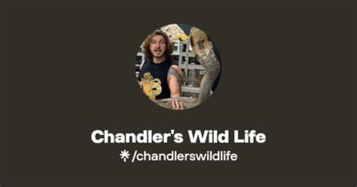 Chandler’s Wild Life
