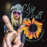 Chip Z' Nuff Net Worth - How Much Does Chip Z' Nuff Make?