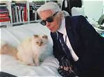 Choupette Lagerfeld Net Worth 2024
