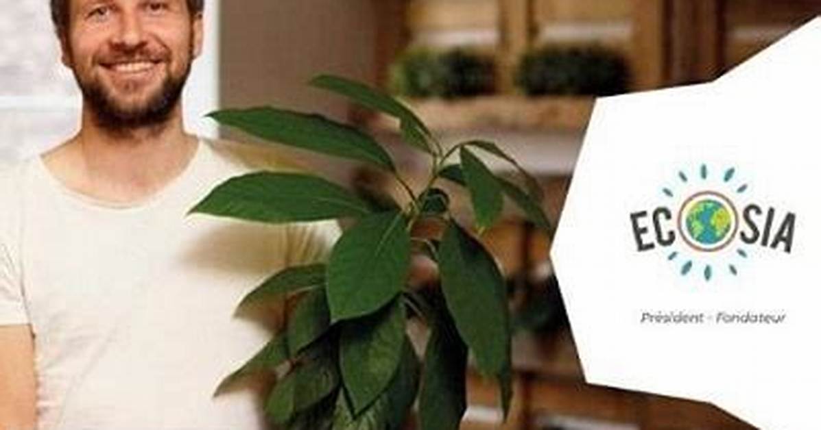 Christian Kroll (Ecosia Founder) Wiki, Age, Net Worth, Wife, Family, Biography & More