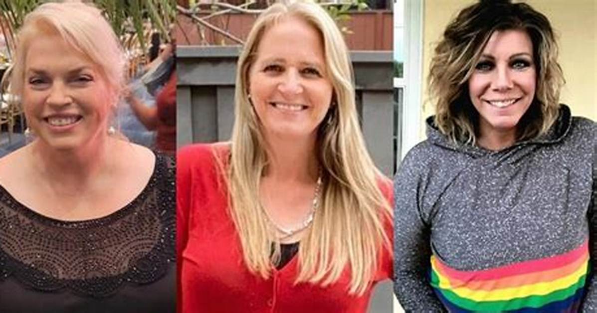 Christine, Janelle, Maddie, and Meri Brown Have All Posted on Instagram About Mlms