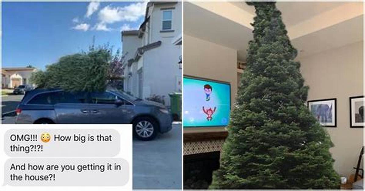 Dad Buys Christmas Tree Alone, Trolls Mom with Hilarious Photoshopped Pics