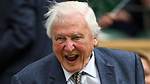 David Angell Net Worth 2024