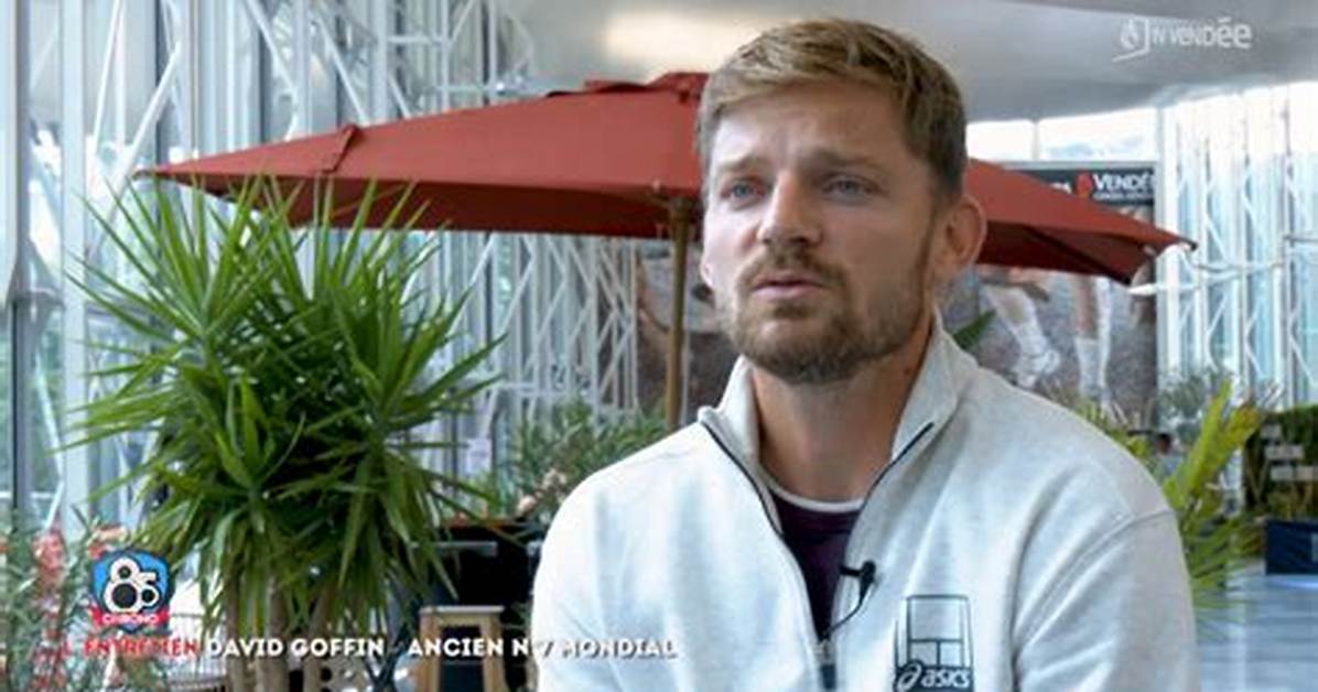 David Goffin