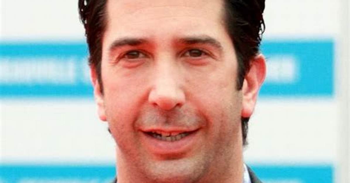 David Schwimmer Movies, Bio, Wiki, Age, Wife, and Net Worth